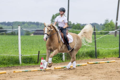77ranczorelax-lescze-konie-zawody-jezdzieckie-2021