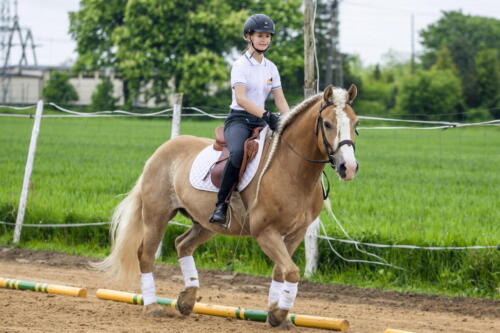 83ranczorelax-lescze-konie-zawody-jezdzieckie-2021