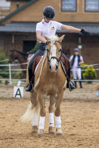 85ranczorelax-lescze-konie-zawody-jezdzieckie-2021